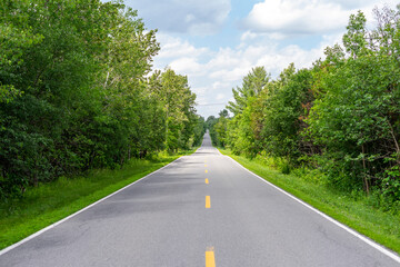 long straight paved road among trees