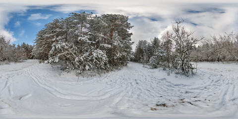 winter full spherical hdri 360 panorama view pedestrian road in snowy forest in equirectangular projection. VR AR content