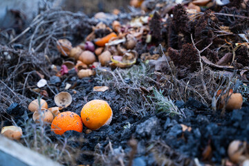 Compost heap in a suburban area with food waste and other organic matter. Making organic fertilizer with your own hands