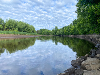 Fototapeta premium river in the forest