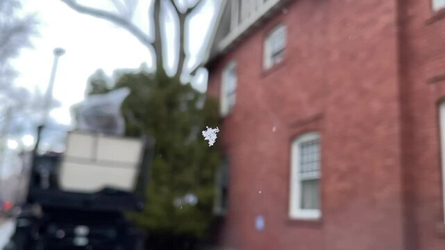 Snow Flake Falling