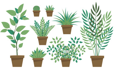 simple potted plants room pot plant palm