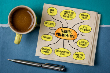 Causes of chronic inflammation, body prolonged immune response to stressors such as poor diet, lack of exercise, environmental toxins, and infections. Infographics sketch.
