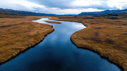 Obraz premium This captivating river winds through a field adorned with golden grasses, depicting the essence of autumn's serene beauty and peaceful solitude in nature.