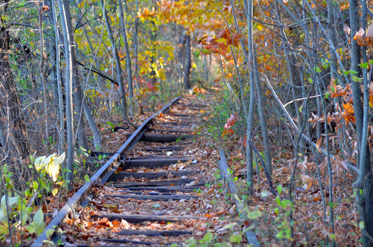 Old Abandoned Railroad tracks through the woods in a forest