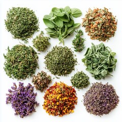 Variety of Fresh and Dried Culinary Herbs Displayed on a White Background