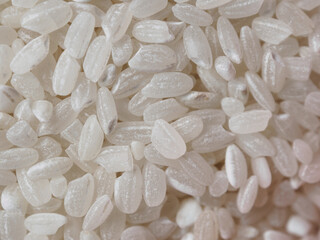 A close-up of round-grain rice, showing its shiny texture and natural hue, perfect for a culinary theme.