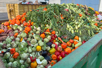 Expired Organic bio waste. Mix Vegetables in a huge container, in a rubbish bin. Heap of Compost...