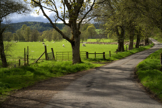Scotland narrow country lane