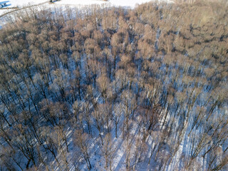 Aerial view of a winter forest blanketed in snow, showcasing bare trees casting shadows. Ideal for nature, environment, and seasonal themes.