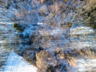 Aerial view of a snowy forest, showcasing trees in wintertime, with varying shades of brown and white creating a serene landscape.