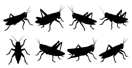 Grasshopper Silhouette Bundle for Insect and Wildlife Designs