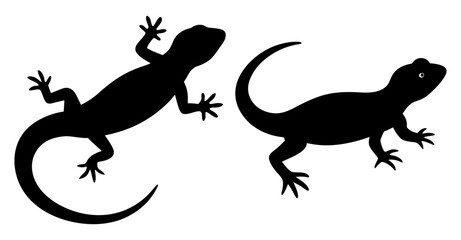 Lizard Silhouette Bundle for Reptile and Wildlife Designs