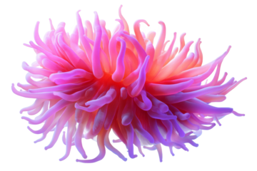 Colorful sea anemone thriving in the ocean waters