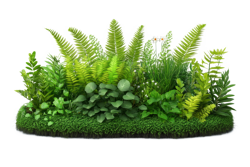 Lush green plants and ferns in a garden setting