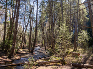 Scenic view in Yosemite National Park.