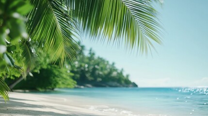 Soft sand and turquoise waters create a stunning backdrop for relaxation. Lush palm trees sway gently in the tropical breeze inviting you to unwind in this vacation paradise