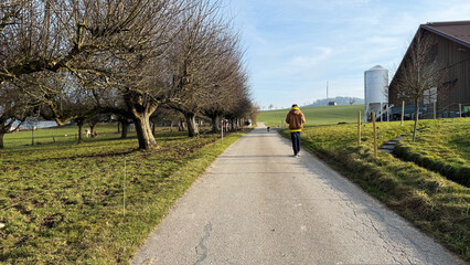 A quiet countryside road lined with bare trees, stretching towards rolling green hills. A person in a brown jacket walks leisurely with a dog following ahead. The rural setting, farmhouse, and soft