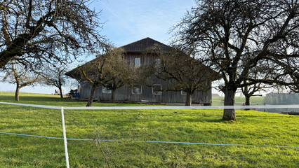 A traditional wooden farmers house surrounded by lush green grass and bare fruit trees. The peaceful rural setting, enclosed by a simple electric fence, reflects the charm of country life and