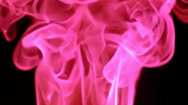 pink burning flame fire magic macro shot on black background
