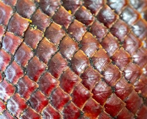 Texture of the skin of ripe buriti fruit