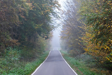 Fabulous forest with trees and road with fog in the autumn day.