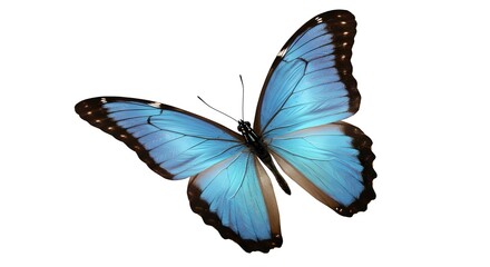 Muy hermosa mariposa naranja amarilla azul en vuelo aislada sobre un fondo transparente.
