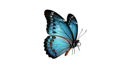 Obraz premium Muy hermosa mariposa naranja amarilla azul en vuelo aislada sobre un fondo transparente. 