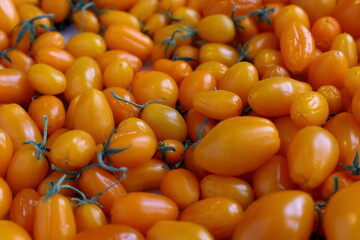 Small yellow or orange tomatoes. Close up.