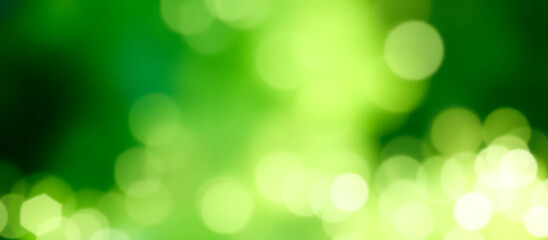 Fototapeta premium abstract green bokeh background