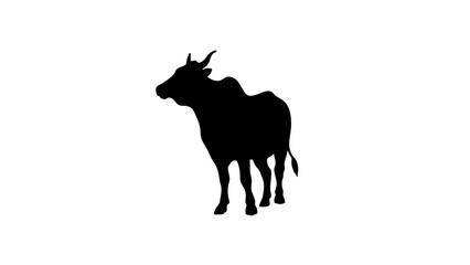 Fototapeta premium Silhouette of sacred cow on white background, symbolism of reverence