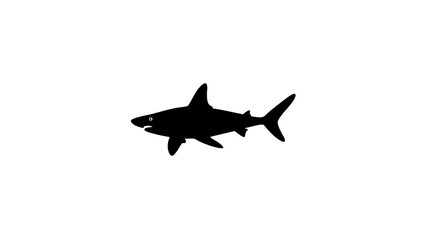 Fototapeta premium Silhouette of a shark on white background, ocean symbolism
