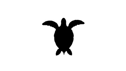 Elegant sea turtle silhouette on a white background, marine symbolism