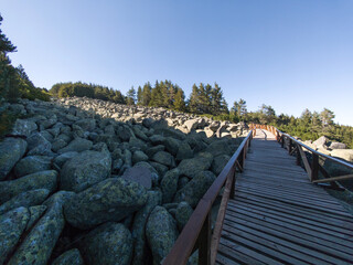 Fototapeta premium Autumn Landscape of Vitosha Mountain, Bulgaria