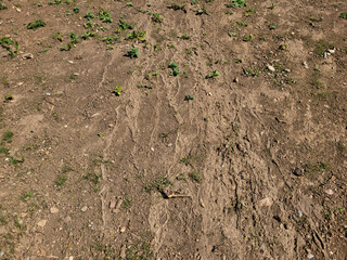 There are dried footprints on the ground and rivulets from the rain