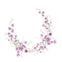 Watercolor hand draw wreath with spring flowers, meadow wildflowers, isolated on white background