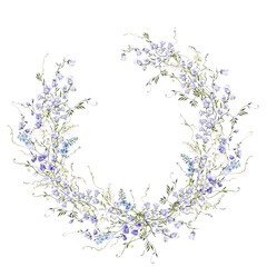 Watercolor hand draw wreath with spring flowers, meadow wildflowers, isolated on white background