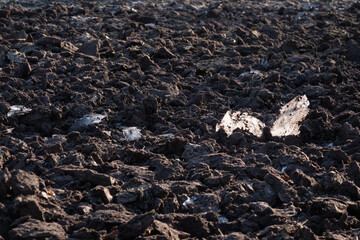Obraz premium Field, just plowed, in winter, pieces of ice sticking out above the ground