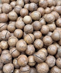 Macadamia nuts, unpeeled, are large in size on sale on the market. The concept of healthy organic food. Close-up