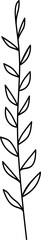 Floral branch and minimalist leaves for logo or tattoo. Hand drawn line wedding herb. Decorative hand drawn leaves. Minimal line art drawing for print, cover or wallpaper.