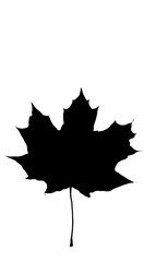 Grape leaf silhouette vector art leave
