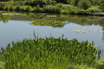 Obraz premium JARDINES DEL AGUA. FRANCIA EUROPA. 