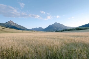Scenic valley with golden fields and distant mountains under a vast blue sky. Concept of nature, freedom, and serenity