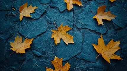Obraz premium Autumn leaves on dark blue stone