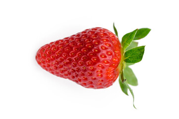 Freshly picked ripe strawberry resting on a white background highlighting its vibrant red color and green leaves