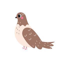 Flat style illustration of a cute pigeon with soft brown feathers and pink cheeks, ideal for nature-themed designs, bird lovers, and whimsical animal illustrations.