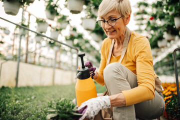 Happy female florist with sprayer in hands cultivating plants at hothouse