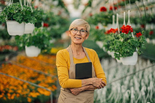 Close up of happy old florist at hothouse with tablet looking at camera