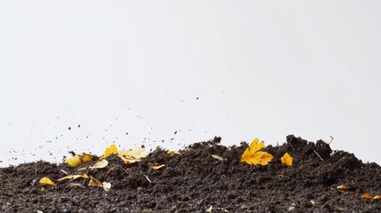 Toxic fertilizer affecting farm soil. Featuring stunted crops and soil contamination