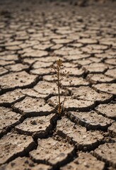 Obraz premium Parched soil with visible cracks, a single dried plant poking through the surface, set against a scorched, empty land Generative AI